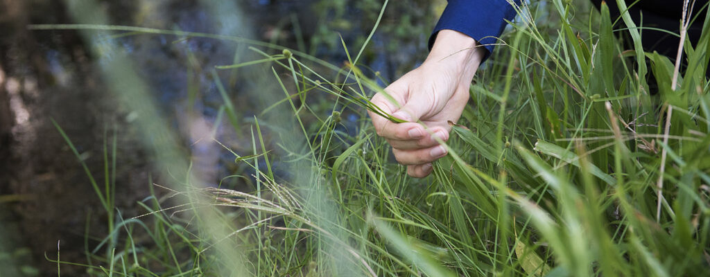 Environmental Consultants Brisbane