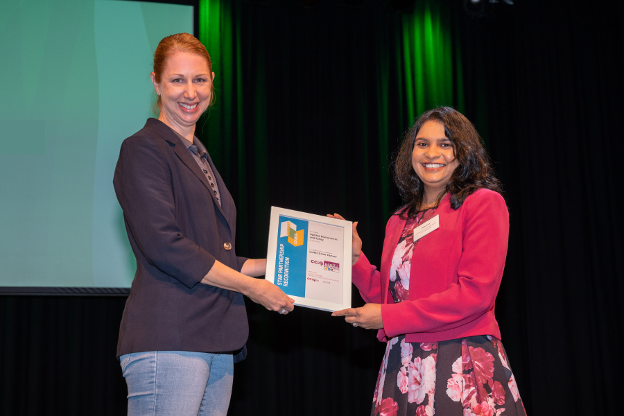 Net Zero Industry And Innovation Program Applied Environment Safety