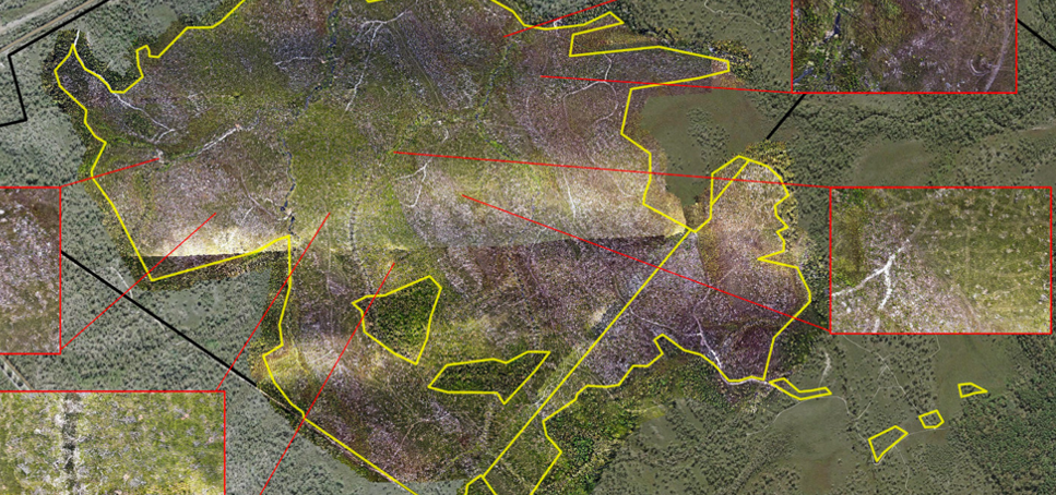 Rehabilitation monitoring through drone survey