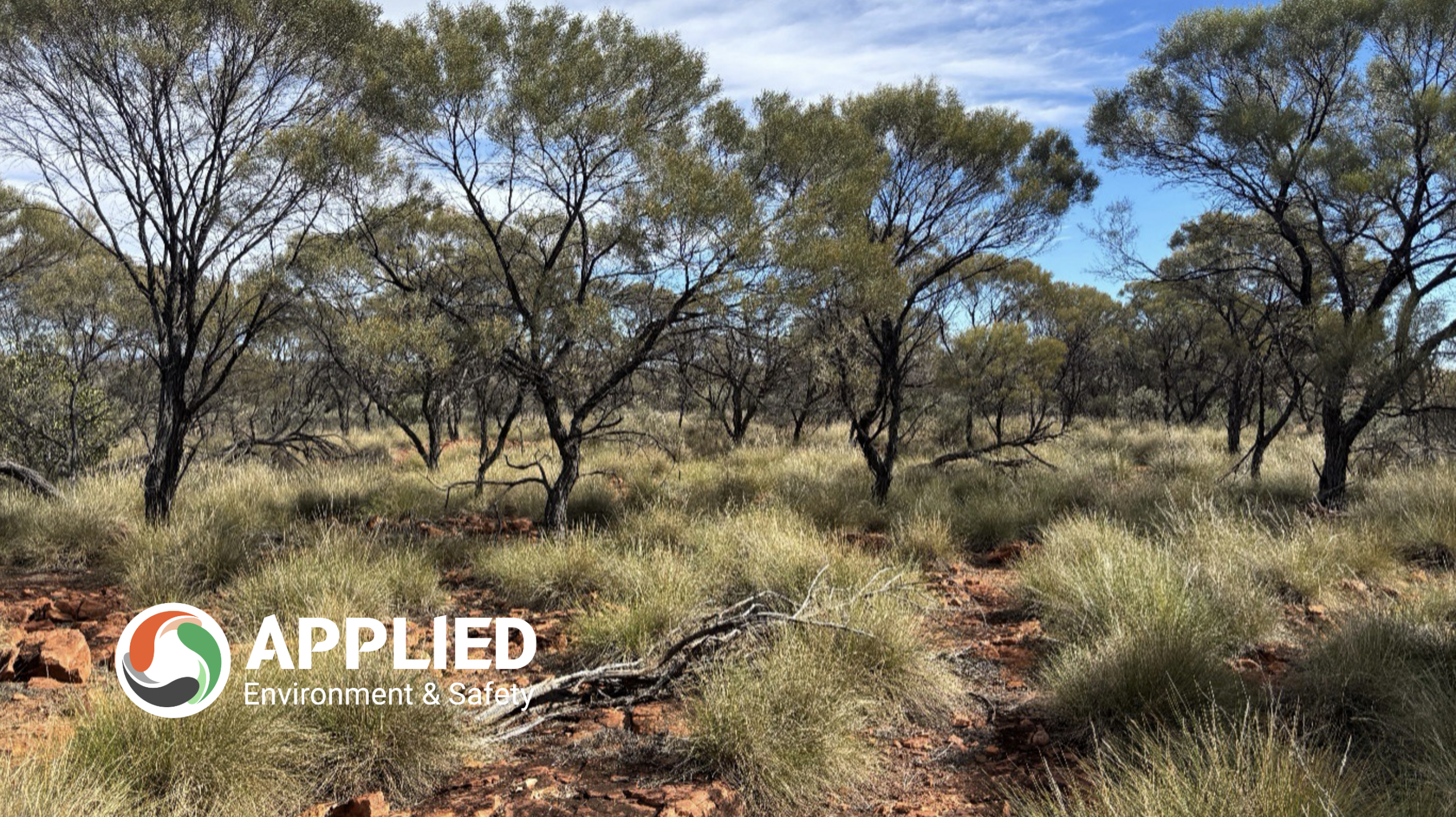 What is the Rehabilitation Hierarchy? A Guide to Land Rehabilitation and Environmental Management